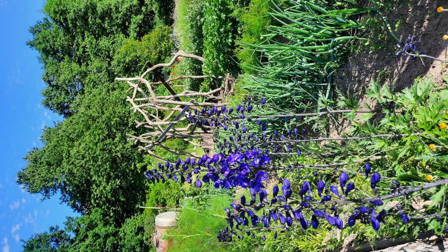 Termine in der Übersicht